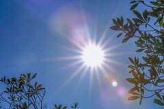 <strong>凌美既实用又具设计感</strong>