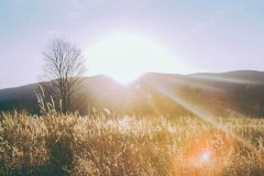 <strong>既能满足他们日常搭配的</strong>