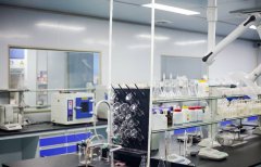 精选全球优质植物精油和