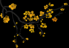 我们的节日·春节 线上有